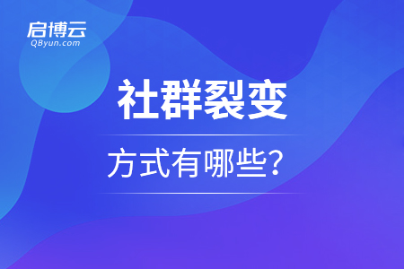 社群裂變的方式有哪些？